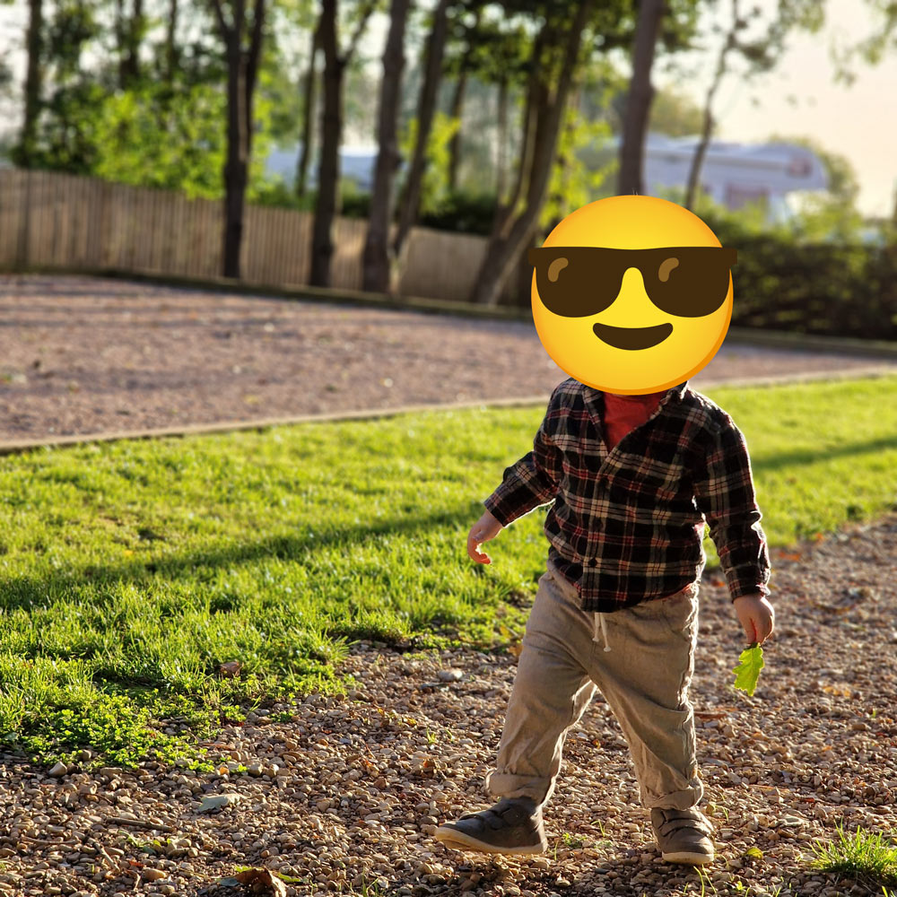 My son enjoying an early morning walk.